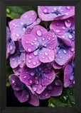 Wet Hydrangea Flower Framed Wall Art Poster Canvas Print Picture Hydrangea