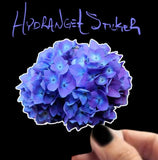 HYDRANGEA FLOWER BLUE  WATERPROOF VINYL STICKERS/DECALS Hydrangea