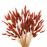 120pcs Burnt Orange Bunny Tails Dried Flowers,17" Dried Faux Pampas Grass Bul... Dried Flower