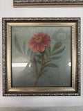 DAIHUI Zinnia October Framed Real Dried Flower Botanical Wall Art 9.5x9.5 Dried Flower