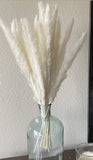Belle Fleur Natural Dried Pampas Grass Reed Plume Dried Flower Stems Bouquet Pampas Grass