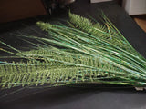 Retro Plastic Dragon Fern, Green, w/200 Stems of Holographic Grass Greenery, 24" Green Plant