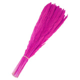 60Pcs Pampas Grass,17" Fake Pampas Grass for Wedding Decoration,Rose Red Pampas Grass