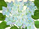 PAINTING WATERCOLOR 11X14 BLACK MAT 16X20 FLOWER HYDRANGEA BLUE PURPLE LAVENDER Hydrangea