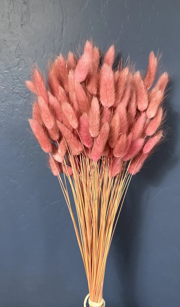 Dried bunny tail grass bouquet with mauve fluffy plumes on stems