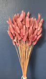 110 Natural Mauve Bunny Tails Lagurus Ovatus ~ Dried Flowers 20Ó Dried Flower