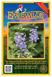 2000 Tall Bellflower Wildflower Seeds - Everwilde Farms Mylar Seed Packet Flowering Plants