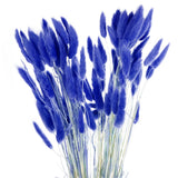 120pcs Natural Bunny Tail Dried Flowers 18" Mini Pampas Grass, Bright Blue Dried Flower