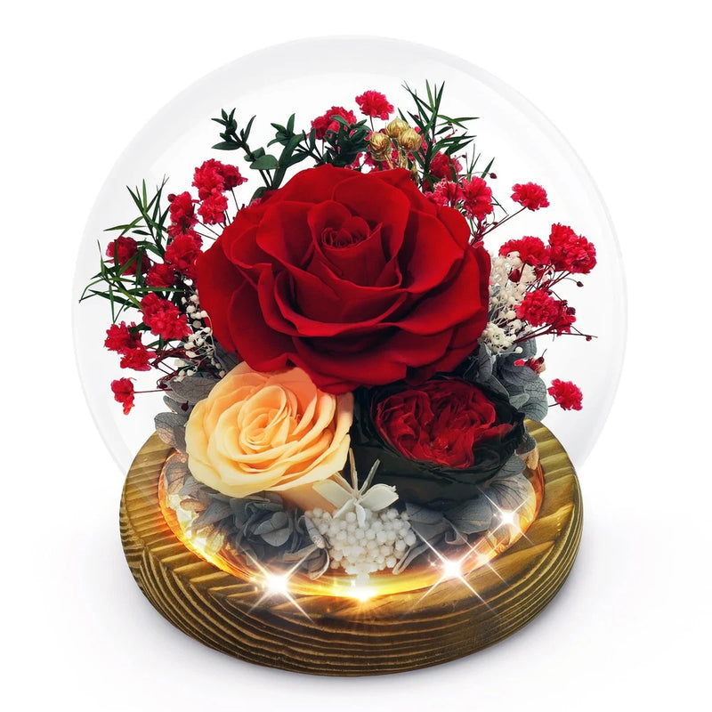 Preserved Flowers Birthday Gifts for Women Preserved Rose in Glass Dome Forev... Hydrangea