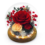 Preserved Flowers Birthday Gifts for Women Preserved Rose in Glass Dome Forev... Hydrangea