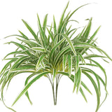2 Packs Artificial Spider Plant Large 23.6In Fake Greenery Plants UV Resistan... Green Plant
