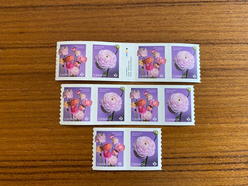 Canada Stamp Coils - 2023  *P-issue RANUNCULUS(Annual Flower Series)  Set of 3 Ranunculus