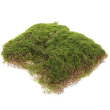 Imitation Moss Craft Micro Landscape Decoration Artificial Grass Mat Green Plant