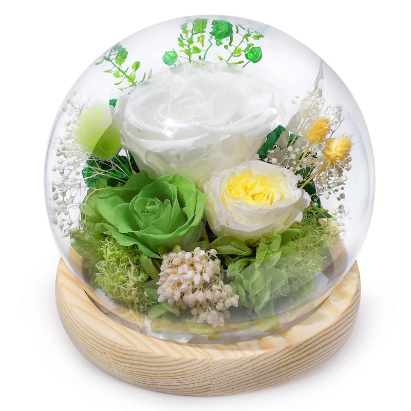 Preserved Rose Birthday Gift for Women Forever Fresh Flowers for Prime Delive... Hydrangea