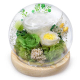 Preserved Rose Birthday Gift for Women Forever Fresh Flowers for Prime Delive... Hydrangea