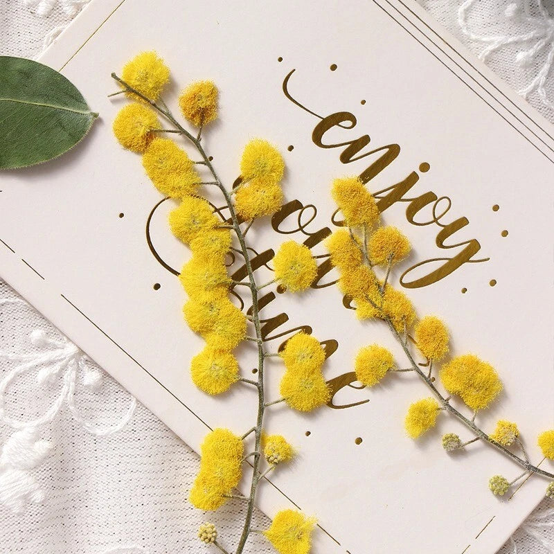 12-pack Christmas dried flower branches for photo frame decor, yellow fuzzy blossoms