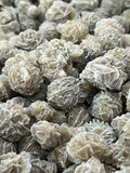 X10 SELENITE DESERT ROSES MINERAL SMALL COLLECTABLE Roses