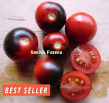 50+ Seeds Zimmertomate Blau Micro Dwarf Tomato Vegetable Garden Planting Edible Garden Plants