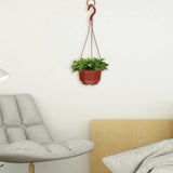 15 Sets Garden Decoration Indoor Hanging Planter Flower Pot Plastic Pots Orchid Garden Plants