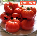 50+ Seeds Aussie Tomato Hybrid Juicy Easy to Grow Vegetable Garden Garden Plants