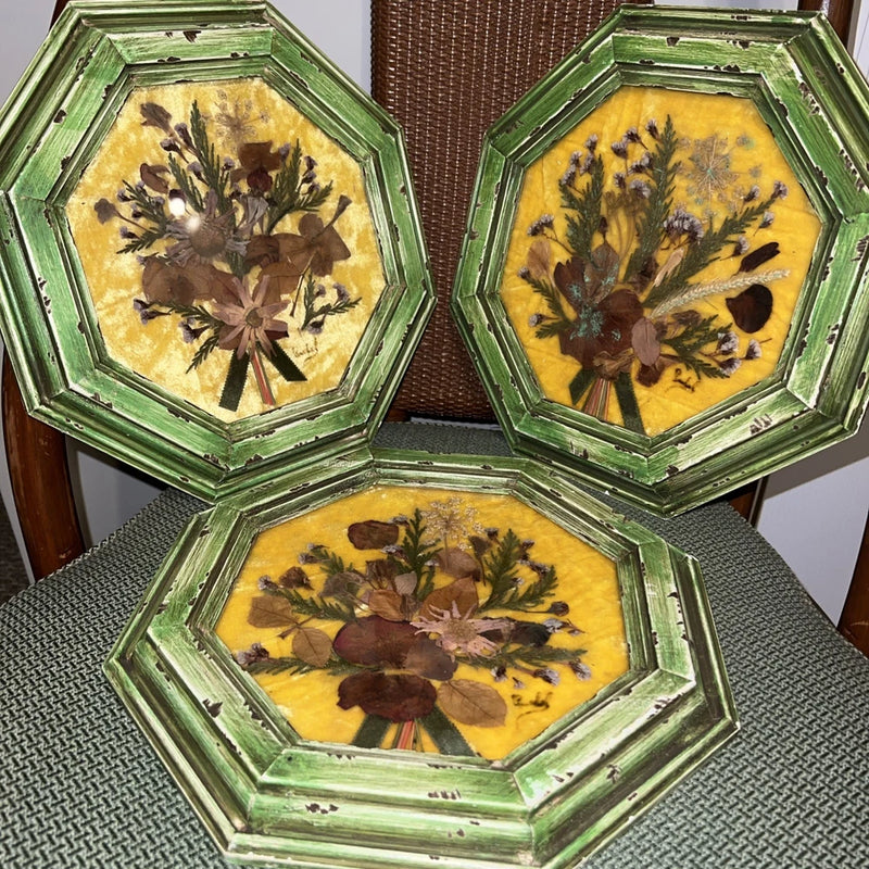 Set of 3 octagon dried flower wall art pieces on velvet backing, green frames