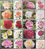 GB 2026 ROSES Stamp Set self-adhesive ex. Collectors Sheet, issue date 26/02/26 Roses