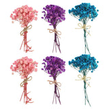 6 Pcs Mini Dried Flower Bouquet Baby's Breath Boho Pink/Rose Purple/Blue Dried Flower