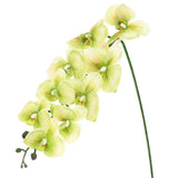 1-Pack Artificial Orchid Flowers 9 Large Petals for Home[Light Green] Green Plant