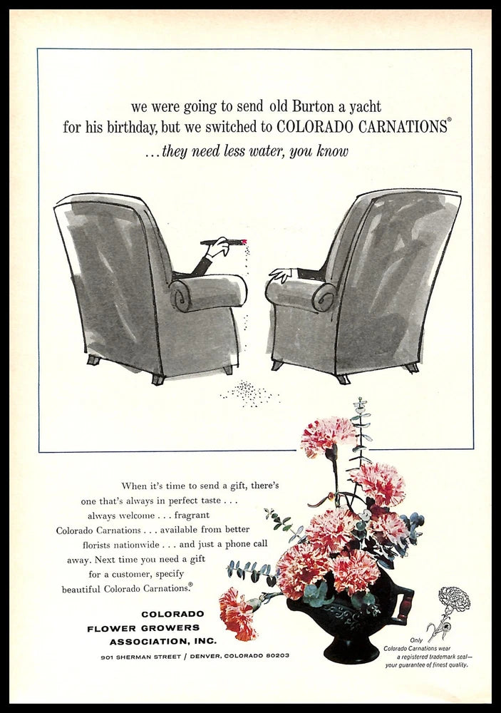 Vintage flower growers print ad with carnation bouquet and two armchairs illustration
