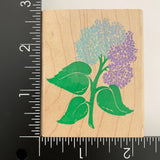 Rubber Stampede Hydrangea Flower Z621E Wood Mounted Rubber Stamp Hydrangea