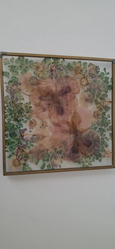 Botanical pressed flower in glass frame with brass border, rubber feet; floral art