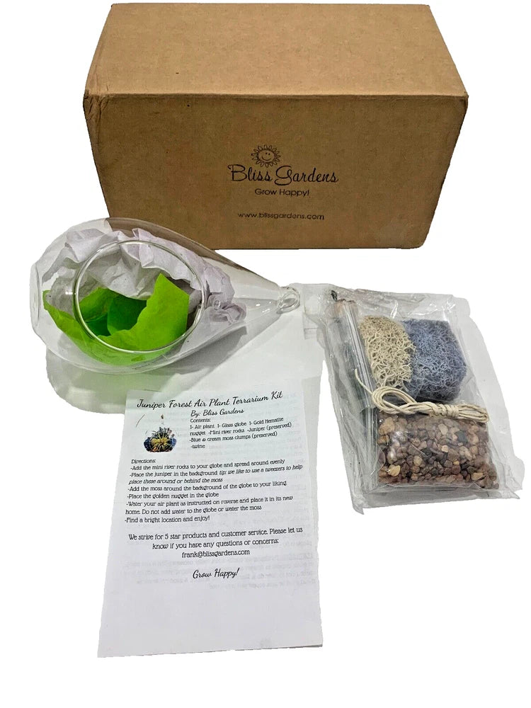 BLISS GARDENS TEARDROP Glass Terrarium Juniper Forest Succulent & Air Plants KIT Garden Plants