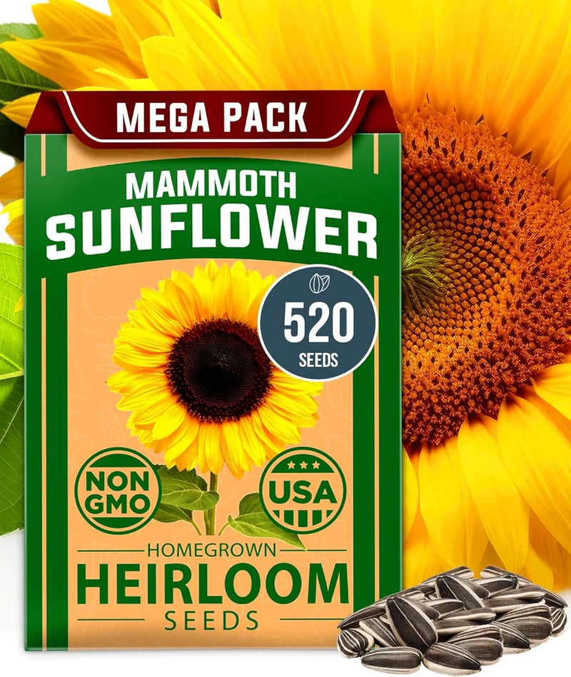 Giant Mammoth Sunflower Seeds - 520+ Heirloom Seeds for Easy Home Gardening Garden Plants