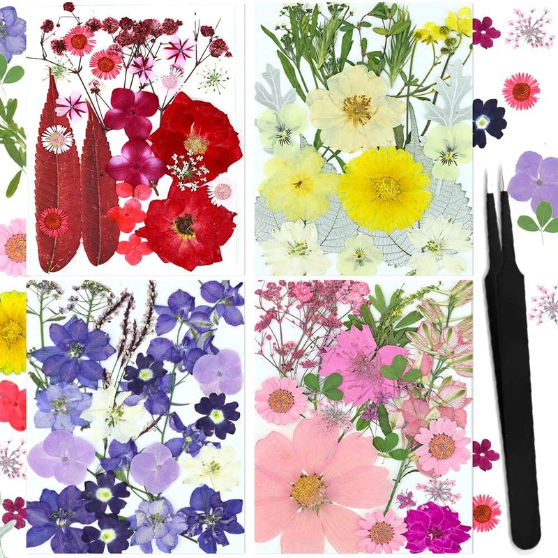 The 80 Natural Pressed Dried Flower Set is Made from Natural Pressed Flowers ... Dried Flower