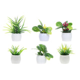 6 Pcs Plastic Miniature Plant Model Decorative Mini Plant Figurine for Garden Green Plant