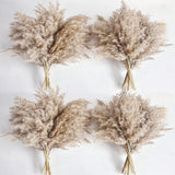40 PCS Nature Pampas Grass Bouquet Decor - Boho Flowers and Feathers for Cent... Dried Flower