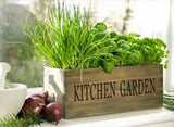 Herb Garden Collection, Small, Heirloom Seeds, 6 Top Varieties of Herbs Garden Plants