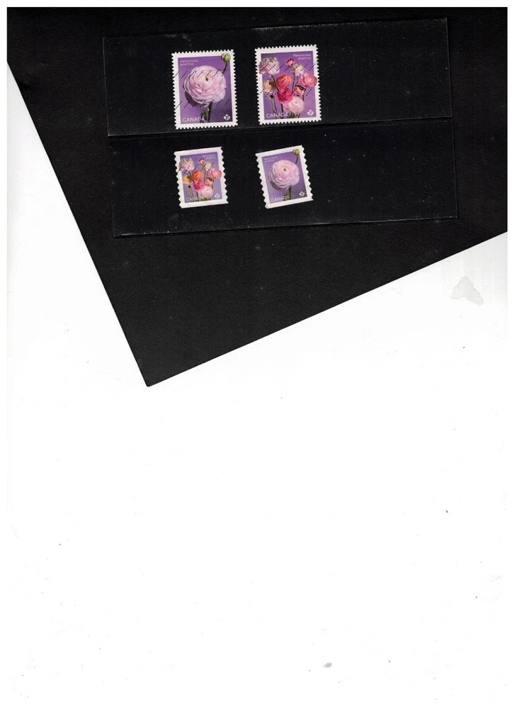 CANADA  FLOWERS - 4 RANUNCULUS ASLATIRUS  2 PAIR  cat used #NEW  BK 451b Ranunculus