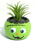 Baby Frankenstein Succulent Planter Small Plant Pot Home Garden Decor NEW Garden Plants