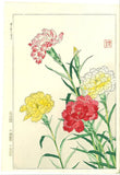 Guaranteed Authenticity Kawarazaki Shodo Woodblock Print #110 Carnation Flower Carnation
