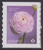 Canada 3374 Ranunculus White P coil single MNH 2023 Ranunculus