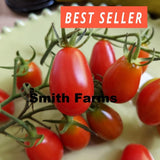 50+ Seeds Five Star Grape Tomato Juicy Easy to Grow Vegetable Garden Planting Garden Plants