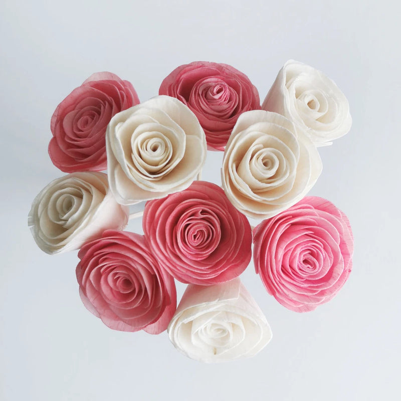10 Pink White Ranunculus Sola Flower Reed Diffuser 2" for Home Fragrance Oil Ranunculus