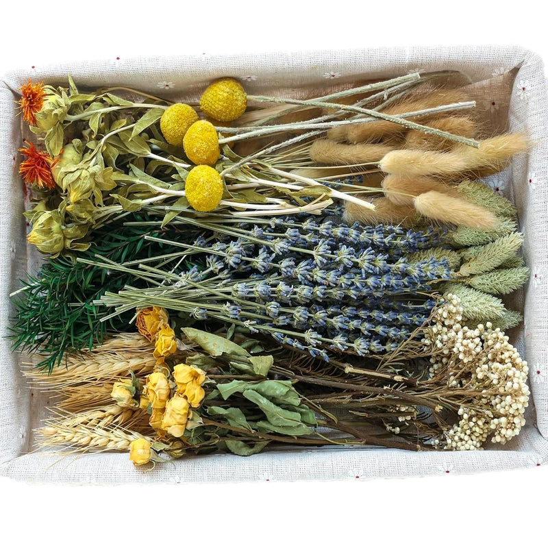 Mixed dried flower and grass bundle with yellow, blue, green, brown stems for DIY vases