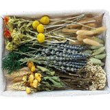 DIY Natural Dried Flower Set, Bulk Flowers for Vase, Brown Dried Flower