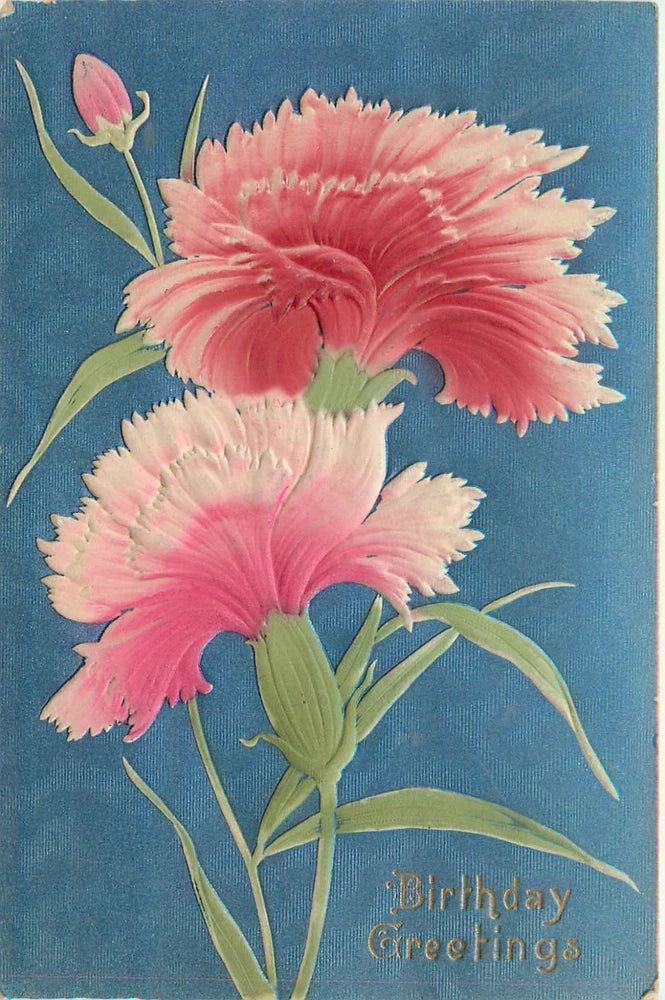 Embossed birthday greetings postcard with pink carnations and 'Birthday Greetings'.