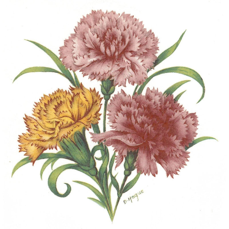 Carnation ceramic waterslide decal featuring pink and yellow flowers with green leaves