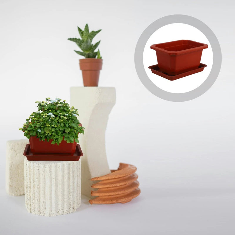 5 Sets Bonsai Supplies Succulent Garden Pots Flower Planting Container Bowl Garden Plants