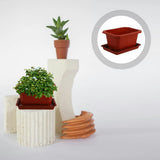 5 Sets Bonsai Supplies Succulent Garden Pots Flower Planting Container Bowl Garden Plants