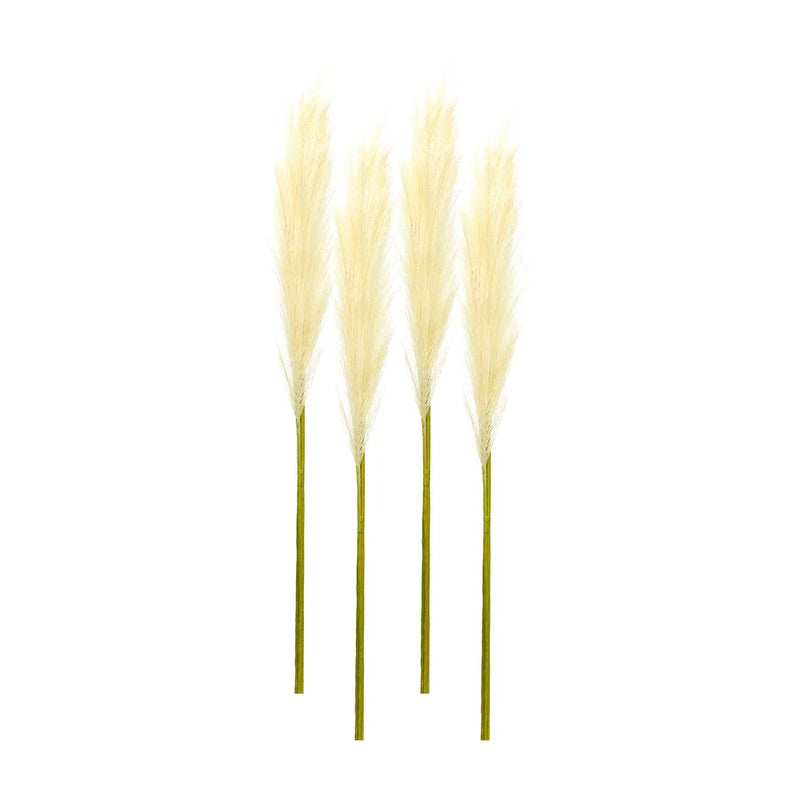 Cream Pampas Gass Stem (Set of 4) Pampas Grass
